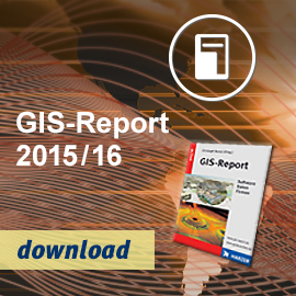GIS Report
